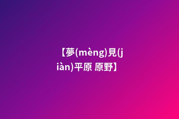 【夢(mèng)見(jiàn)平原 原野】